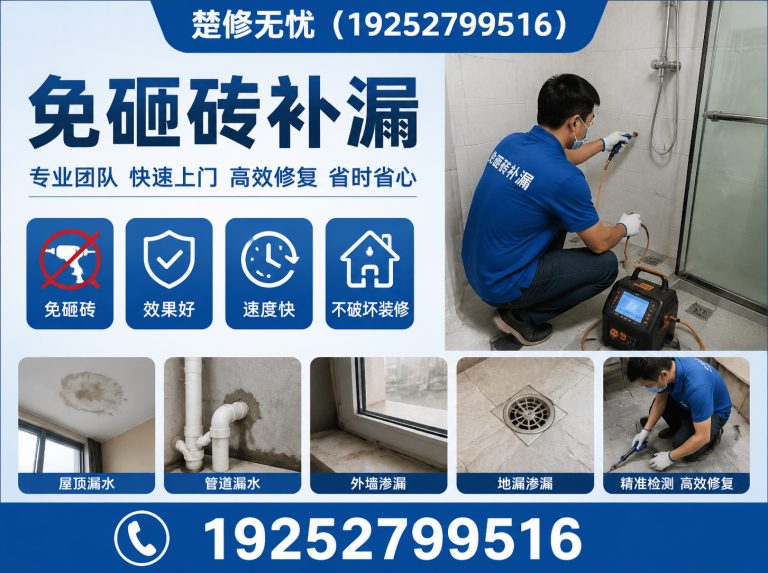 蔡甸区渗漏检测展示图